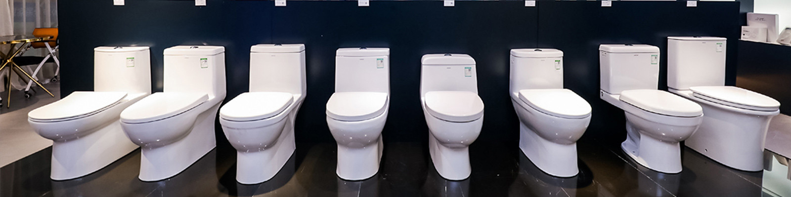 Pared Hung Toilet