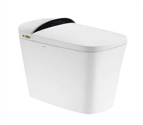 Arrow Brand Modern Smart Toilet with Concealed Tank Automatic Operation and Soft Close Bidet