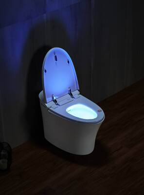 Arrow Brand Modern Smart Toilet with Ceramic Material Concealed Tank and Automatic Operation