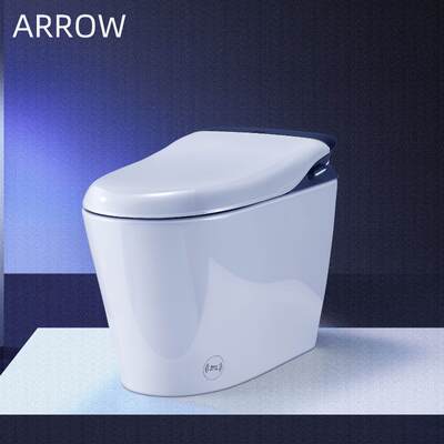 ARROW Luxury Smart Toilet with Heated Seat Remote Control and Self-cleaning Glaze Intelligent Bidet Toilet