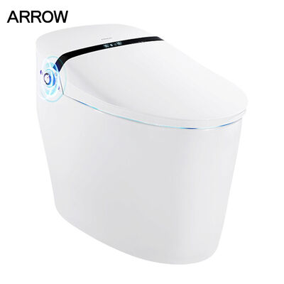 ARROW ST-8006 Tropical Edition Elongated Bidet Toilet | High-Power Flush for Middle East & Southeast Asia Markets, 220V/110V Dual Voltage