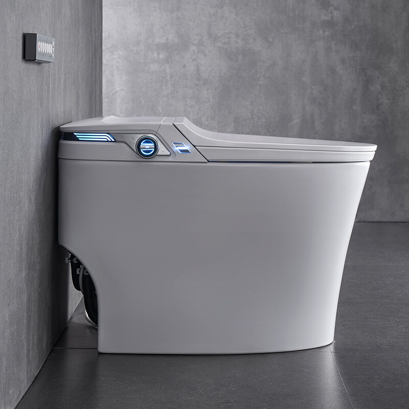 ARROW Intelligent Bidet Toilet with Self-cleaning Glazed Ceramic and Siphon Jet Flushing in One Piece Modern Design